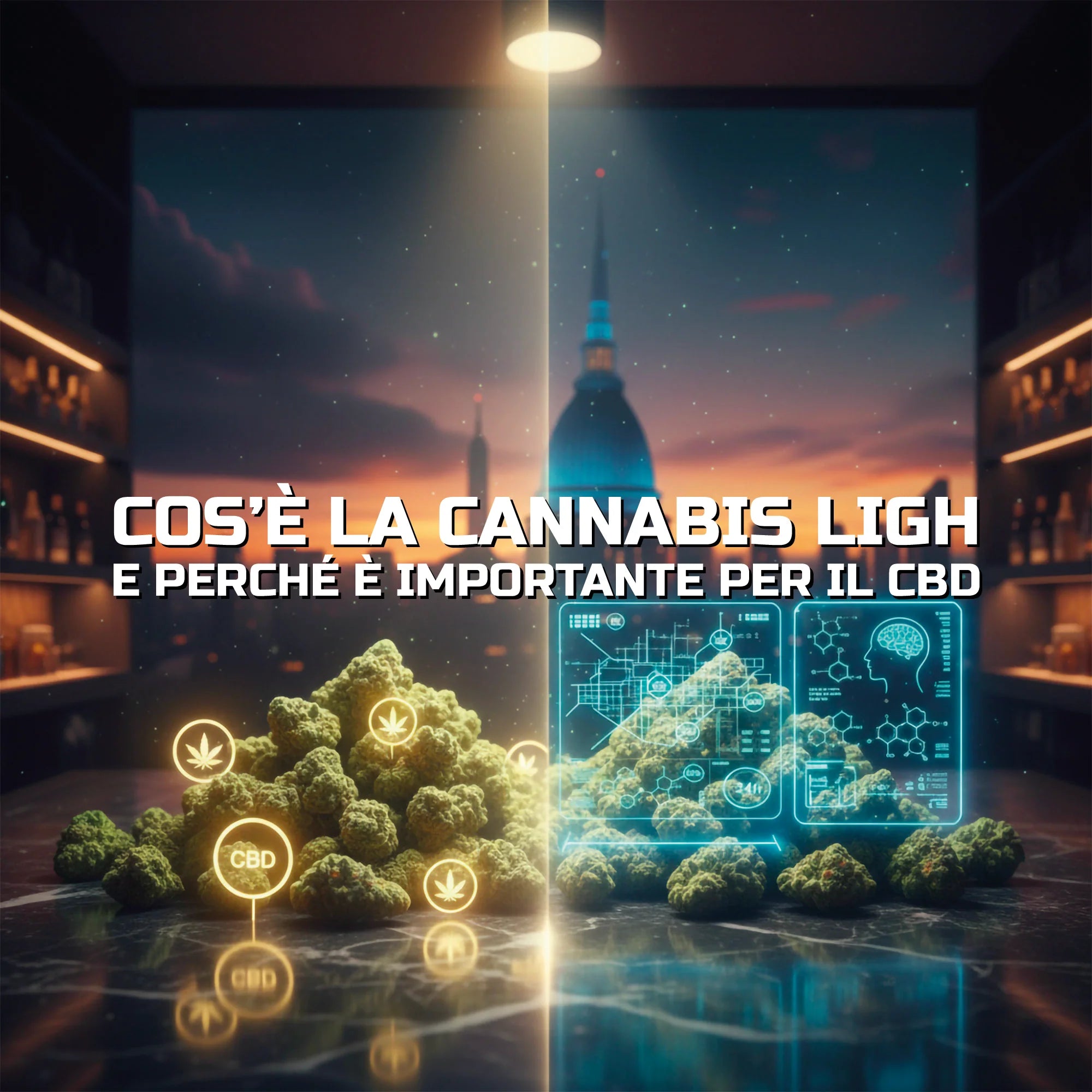 Cos’è la cannabis light e perché è importante per il CBD