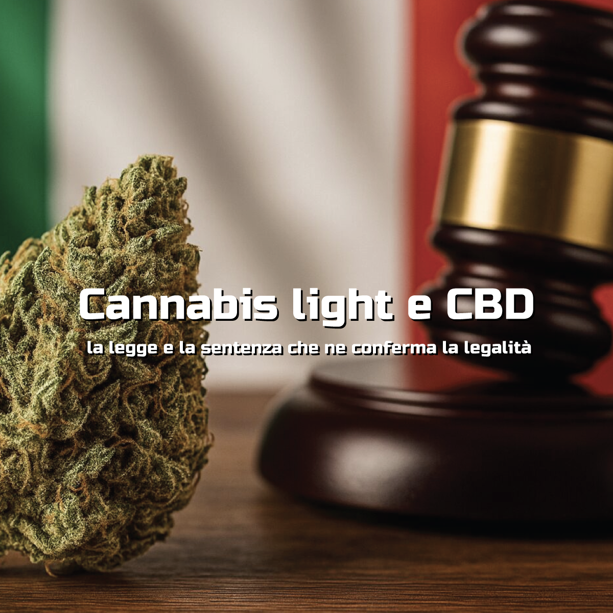Cannabis light e CBD: la legge e la sentenza che ne conferma la legalità