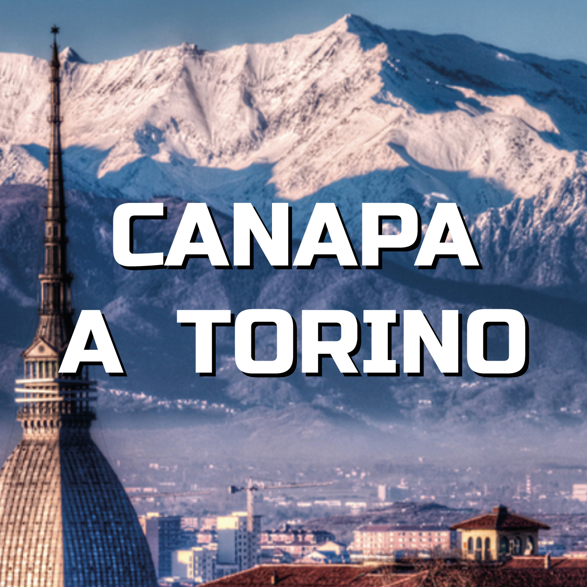 La Storia della Canapa in Piemonte: Un Viaggio nel Passato e il Futuro del CBD a Torino