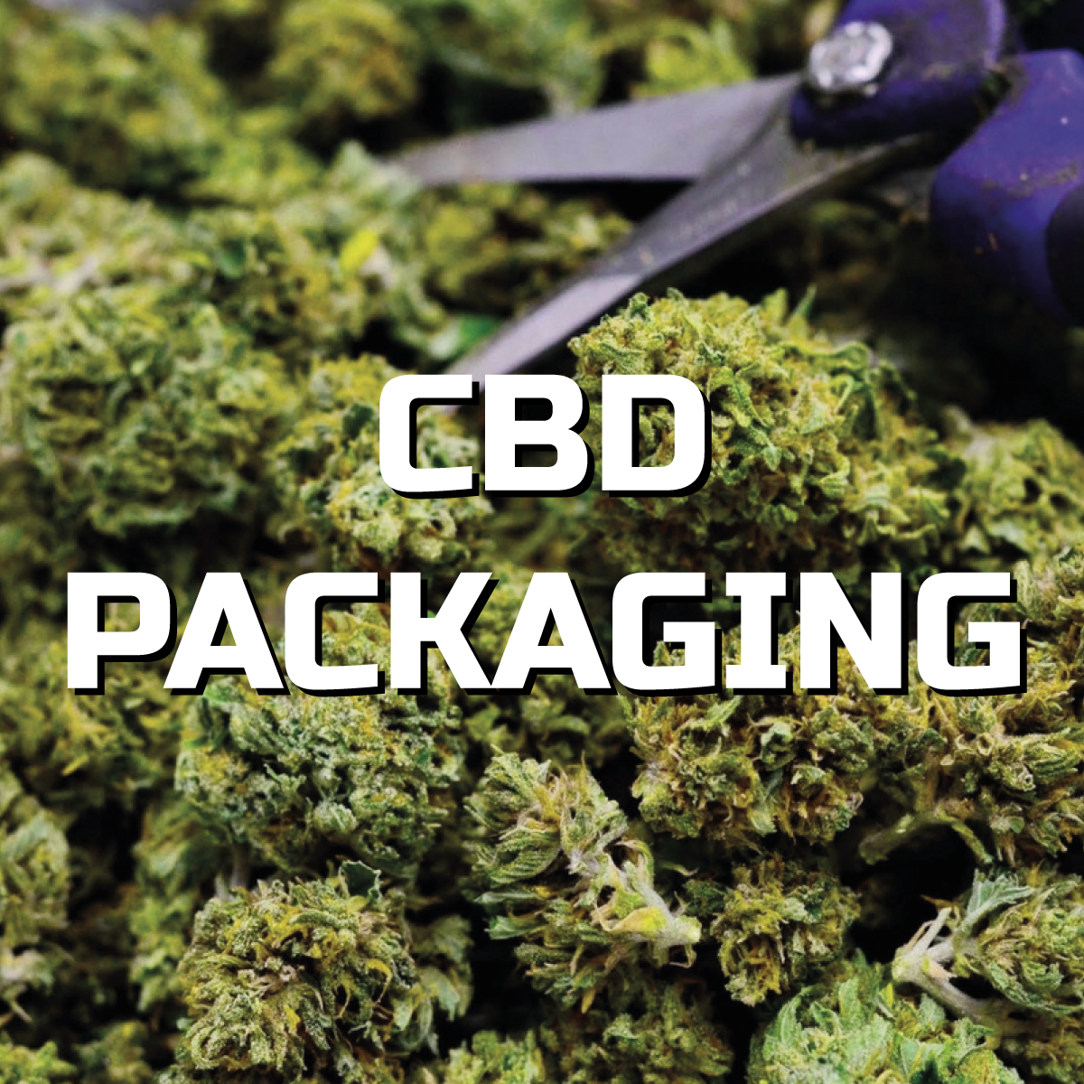 Il packaging per il CBD: come scegliere la soluzione perfetta per la tua azienda