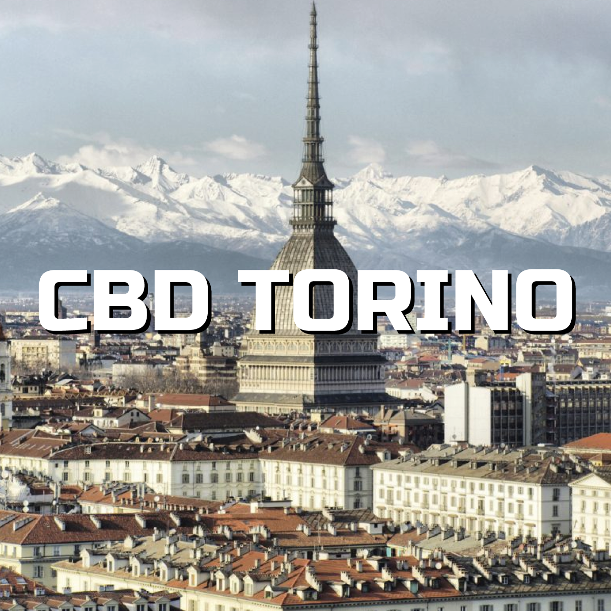 CBD Torino: Mercato in grande crescita