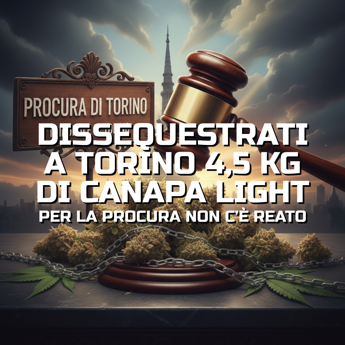 Dissequestrati a Torino 4,5 kg di canapa: per la Procura non c’è reato