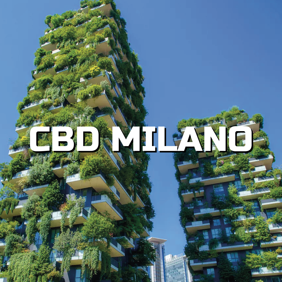 CBD FRANCHISING MILANO