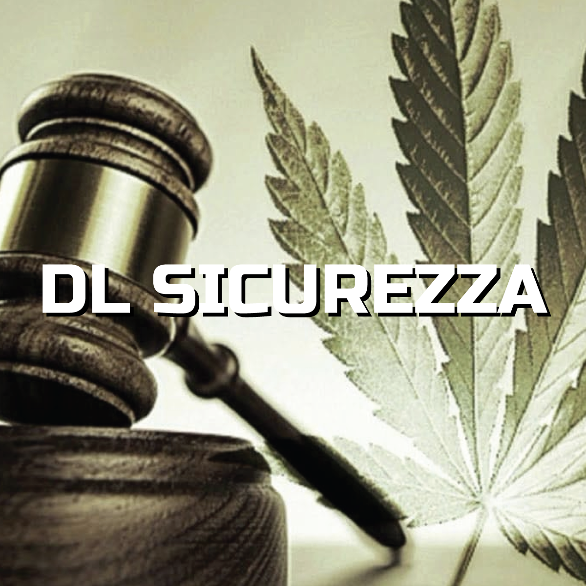 CBD in Italia e Decreto Sicurezza: rischio per il settore?