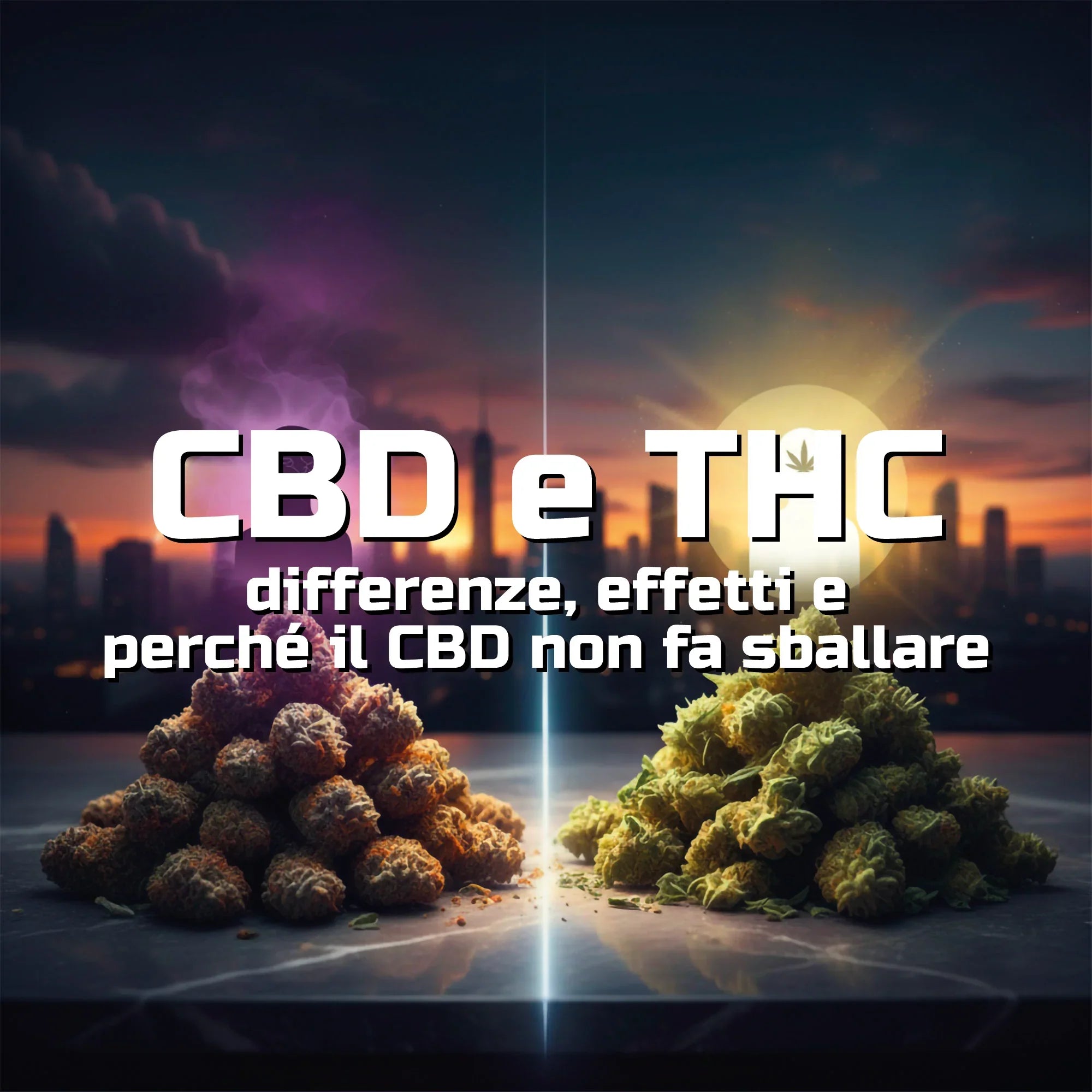 CBD e THC: differenze, effetti e perché il CBD non fa sballare