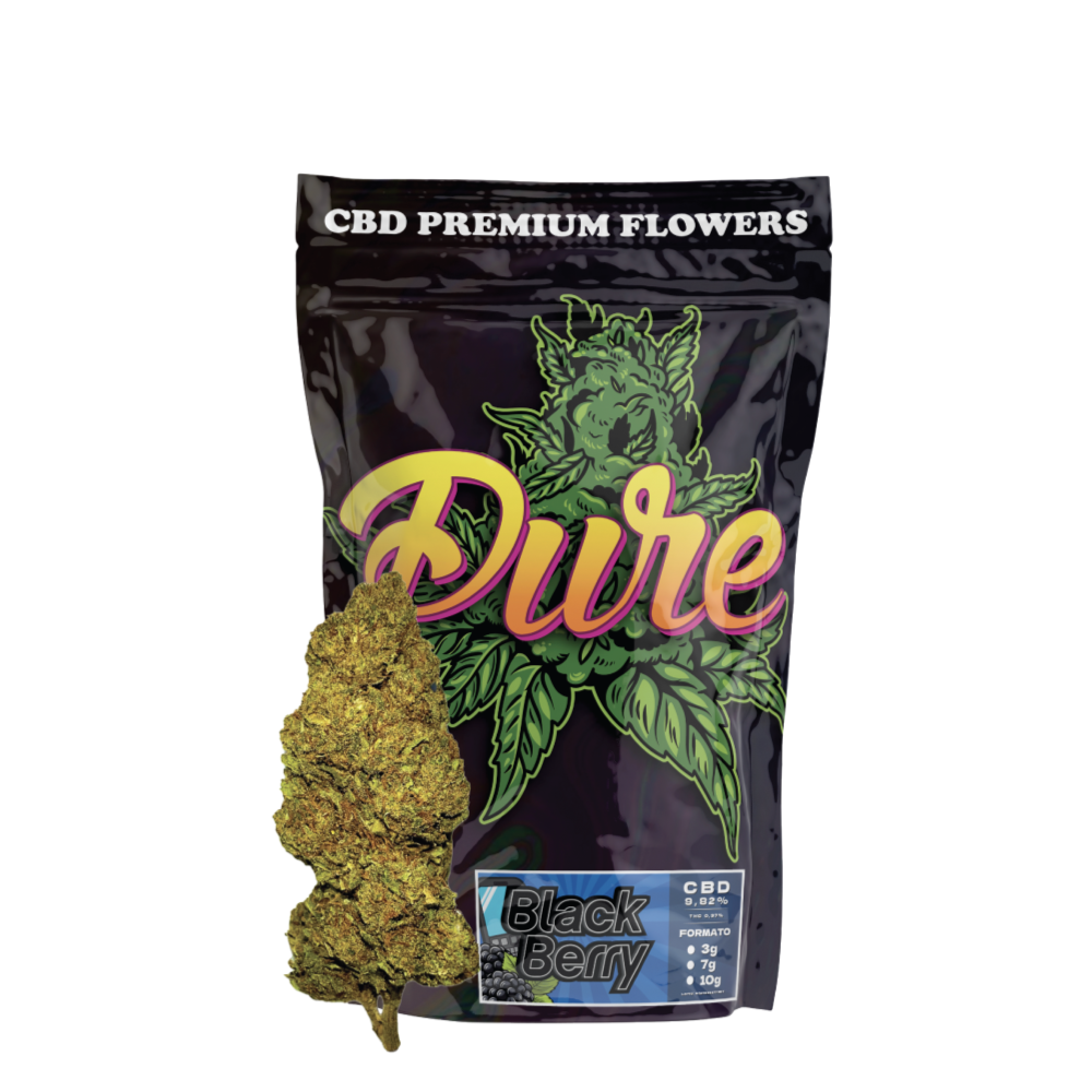 BLACK BERRY CBD