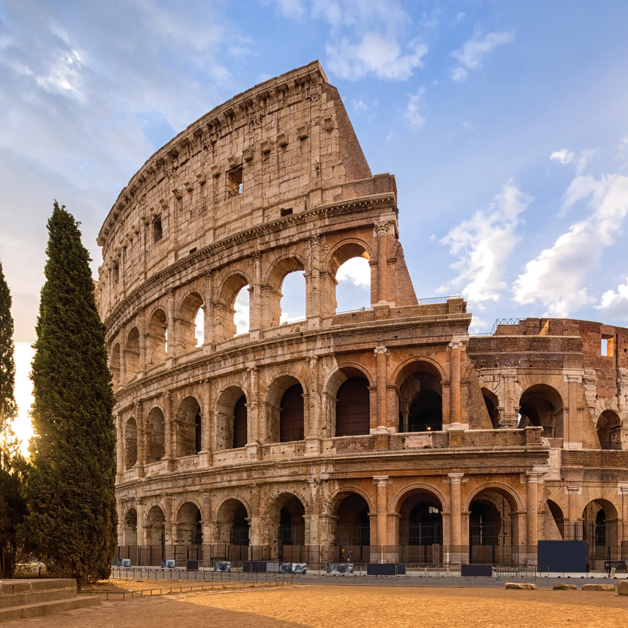 Roma - PureCBD