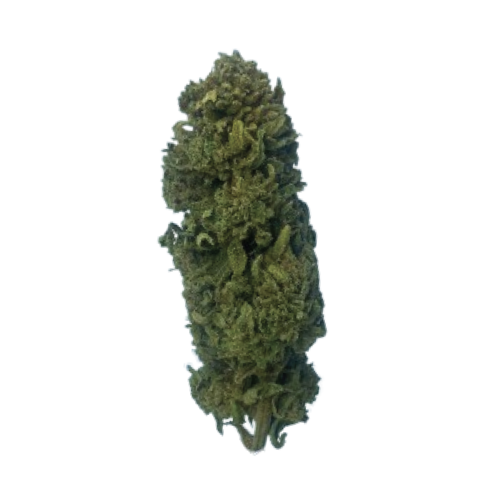 FROSTED CAKE CBD