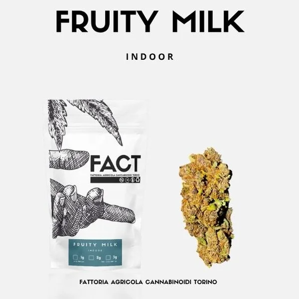 FRUITY MILK - INDOOR
