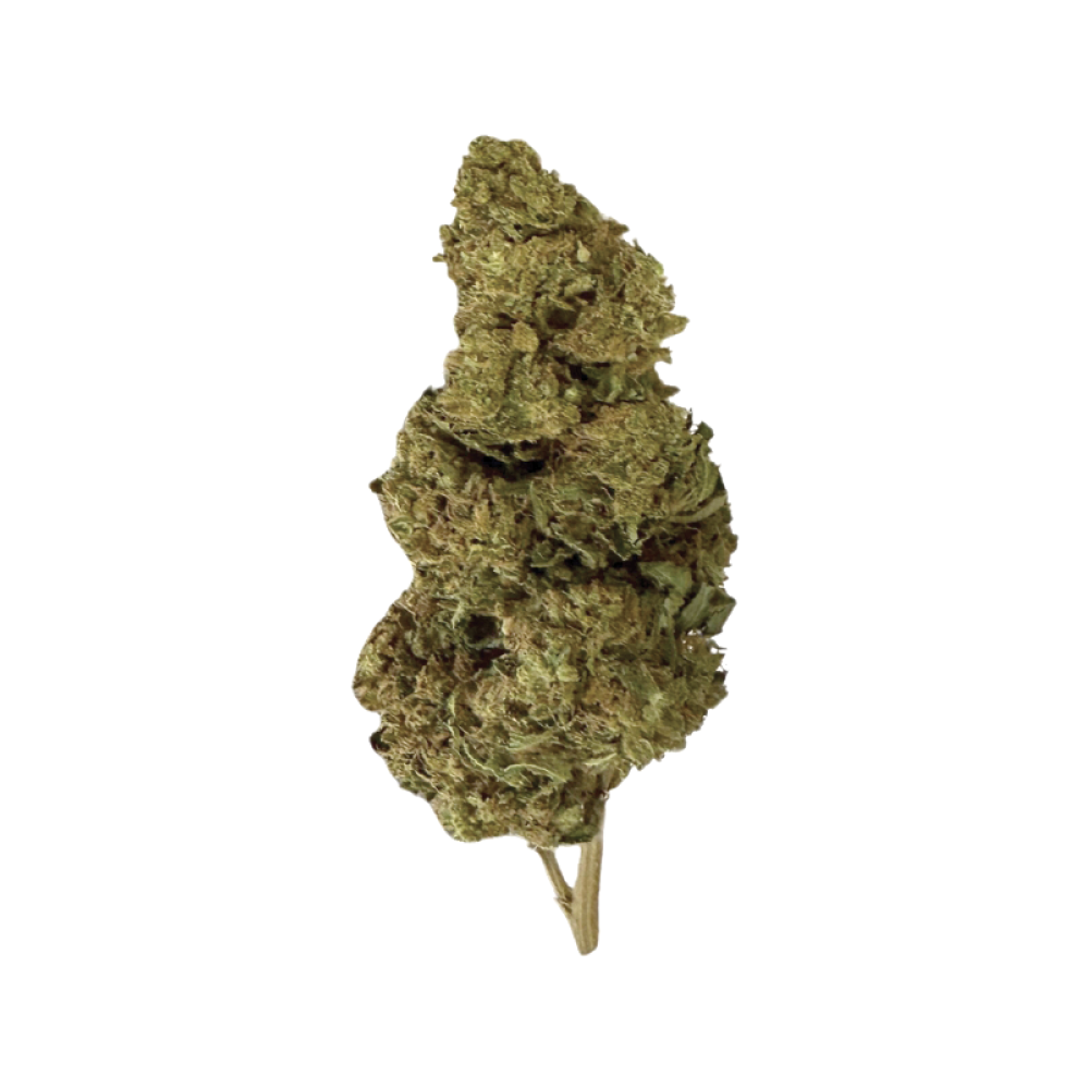 HAWAIIAN HAZE 2.0 CBD