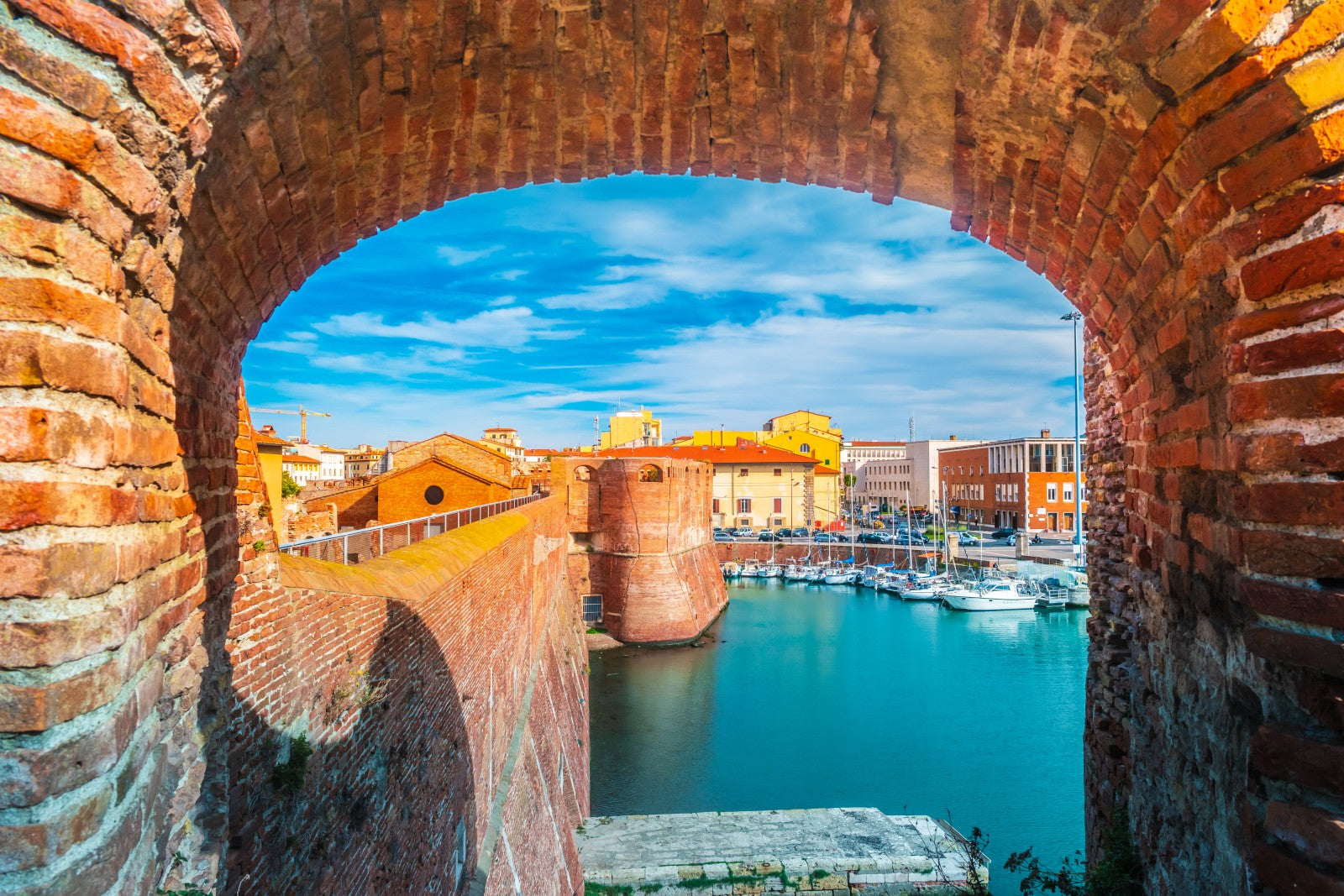 Livorno - PureCBD