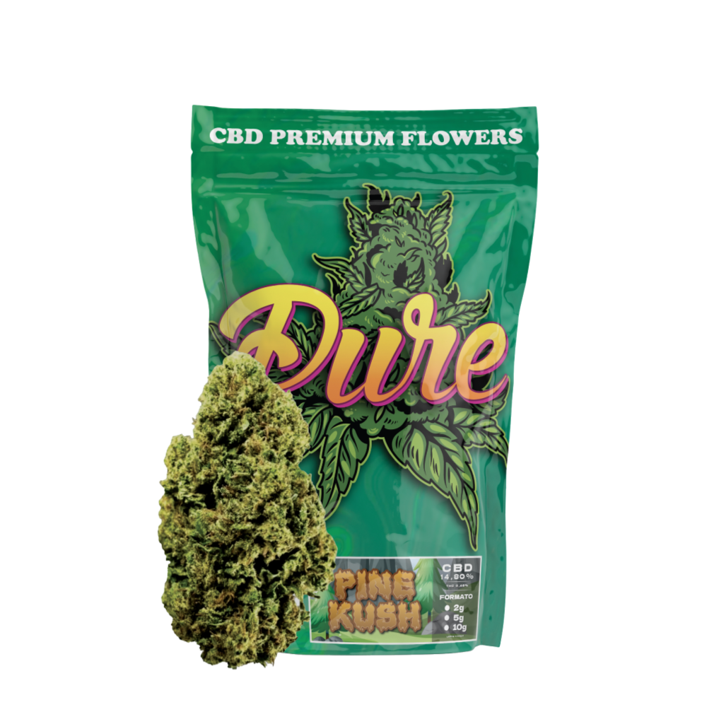 PINE KUSH CBD