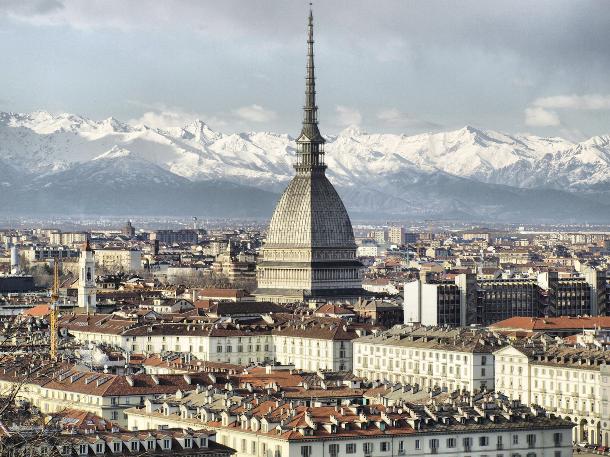 Torino - PureCBD